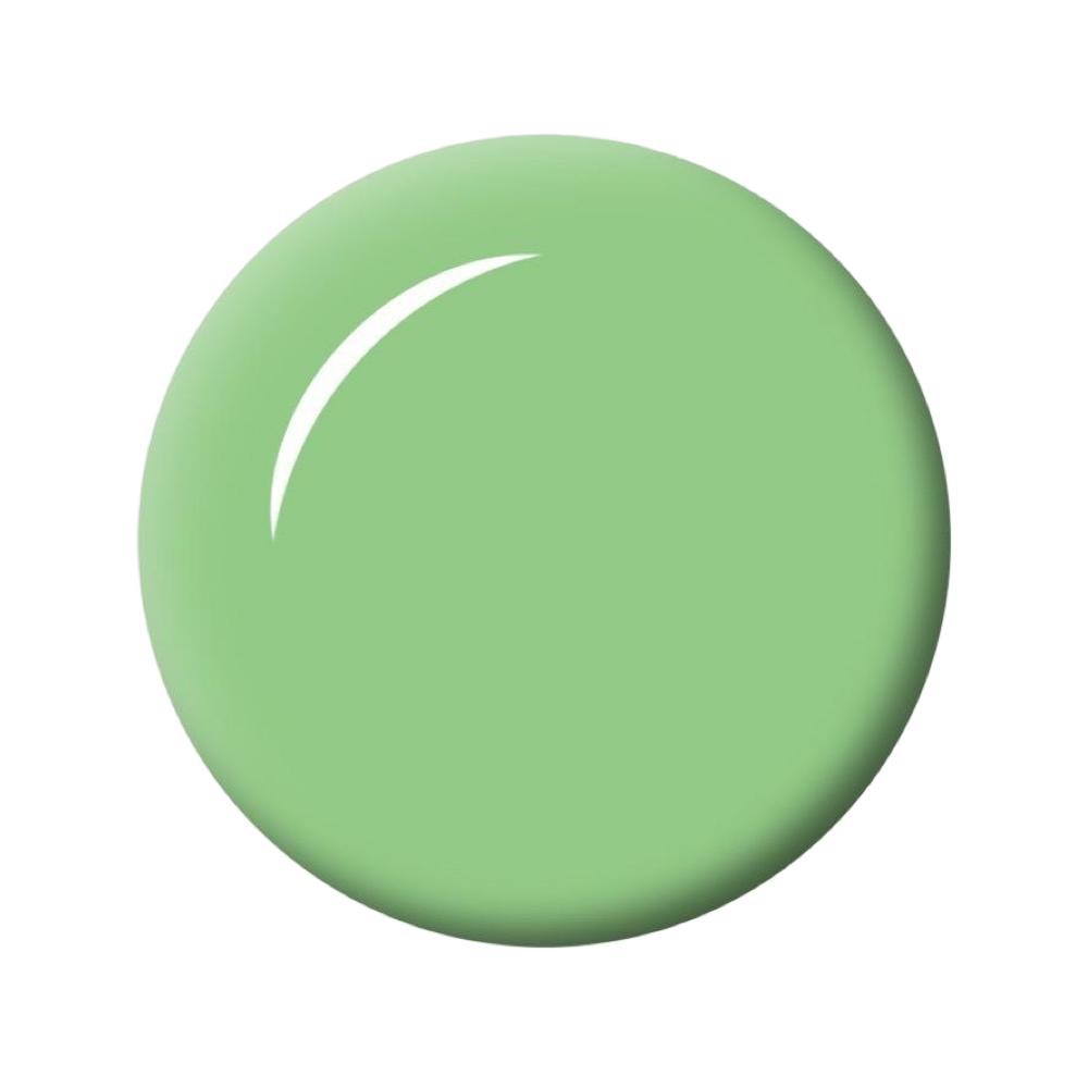 Seduce® Brush builder Biab kleur cool mint een prachtige groene Biab kleur